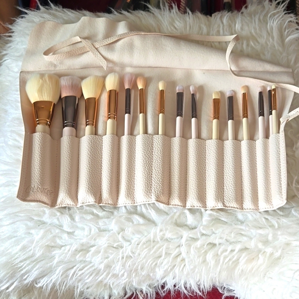 15 ColourPop Brushes & Brush Roll